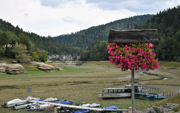Die Sommer werden immer trockener