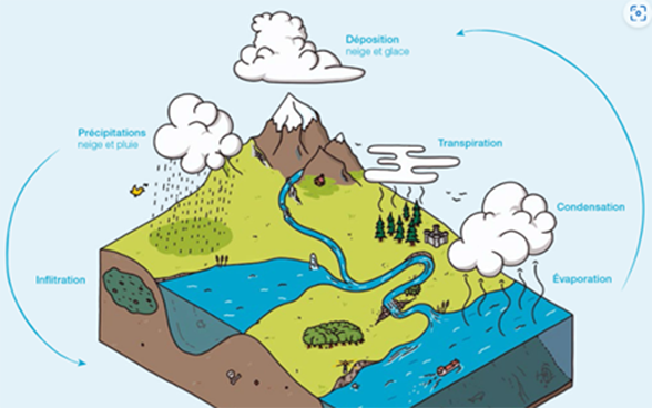 Cycle de l'eau