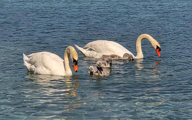 Badewetter am Wochenende – wie warm sind die Seen und Flüsse?